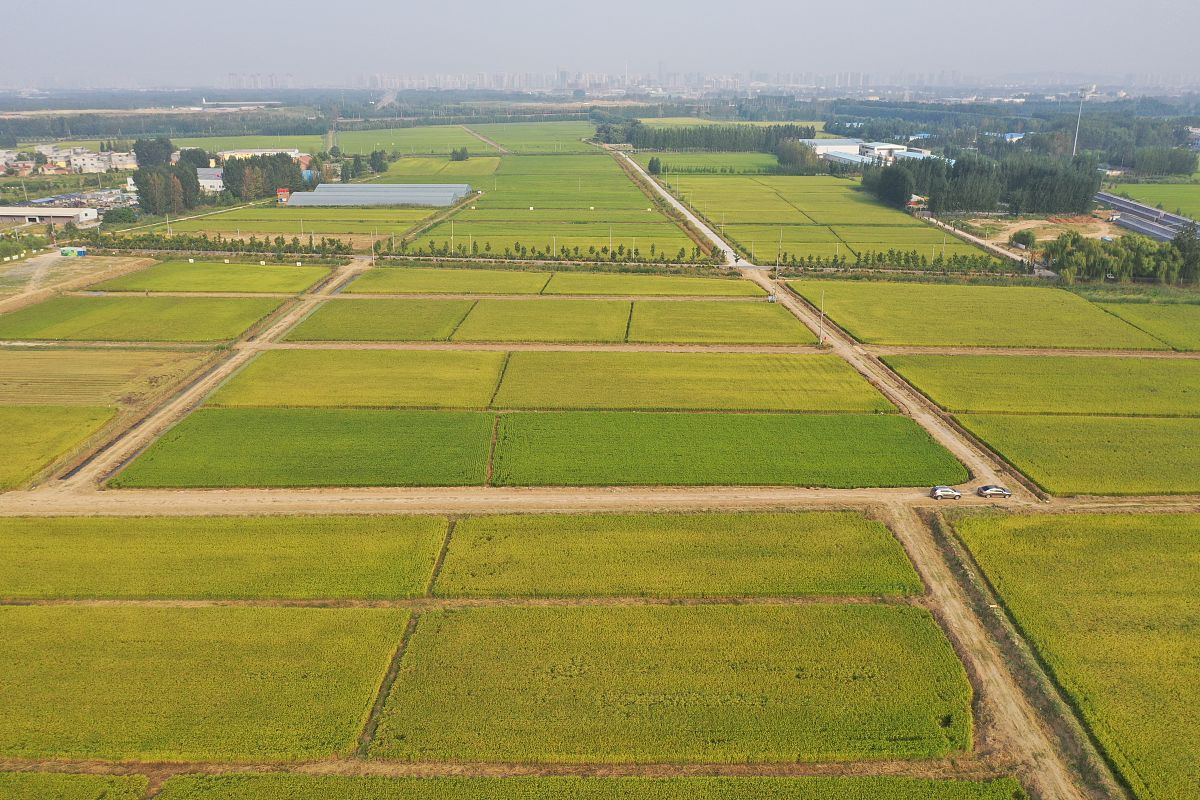 宁夏中专职业学校农业机械使用与维护专业前景有哪些