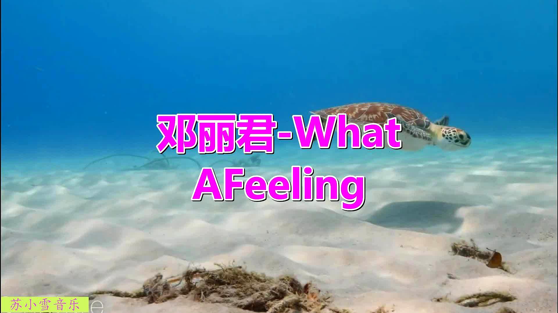 [图]邓丽君绝版经典歌曲《What A Feeling》