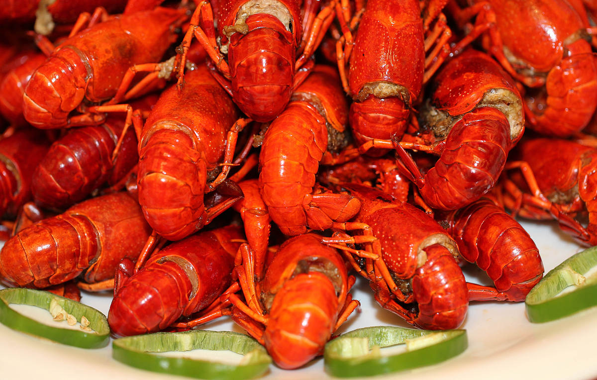 广东南华工商职业学院烹饪工艺与营养专业好不好发展前景怎样