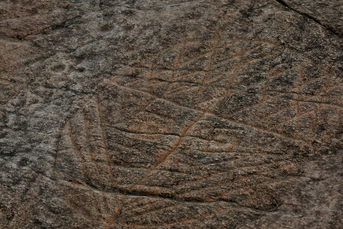 甲肝疫苗接种异常反应：报告、处理及常见反应