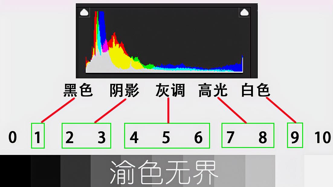 [图]要想成为摄影高手，就要懂影调，并熟练掌握影调与直方图的关系