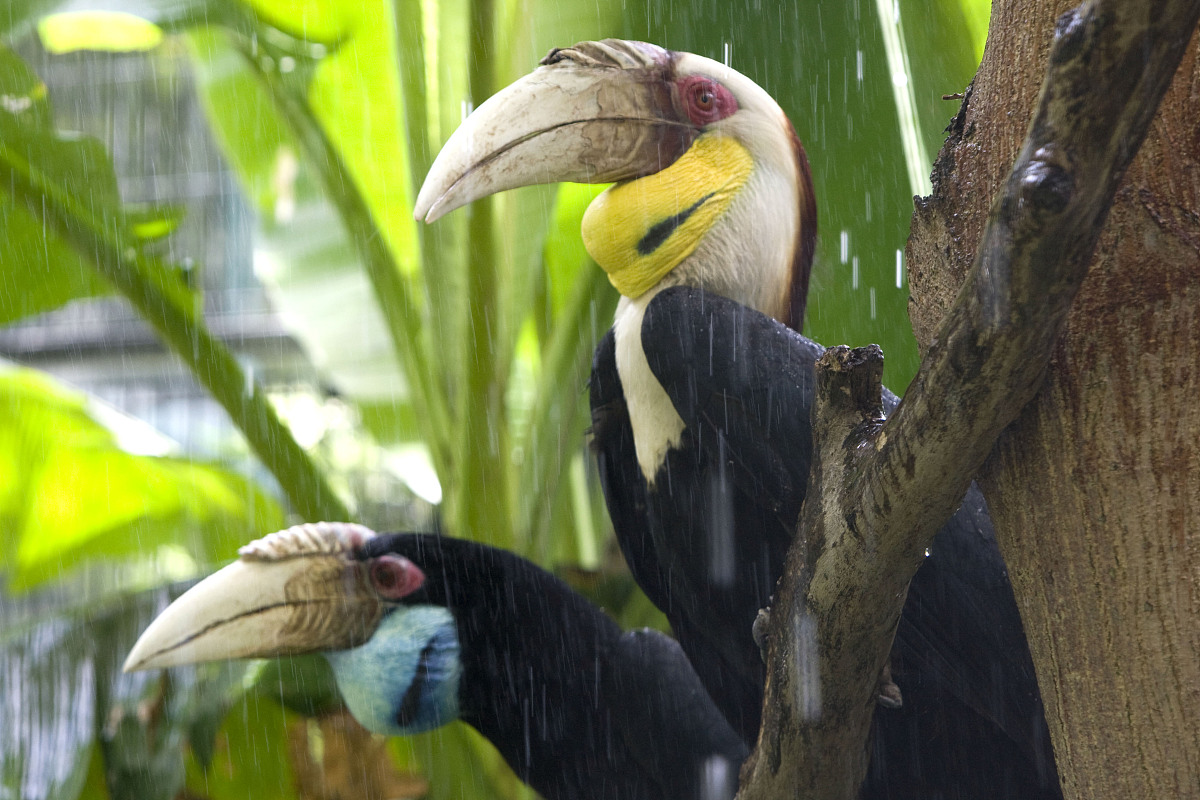 高温工作寿命试验 1000 小时 0 失效：含义解析