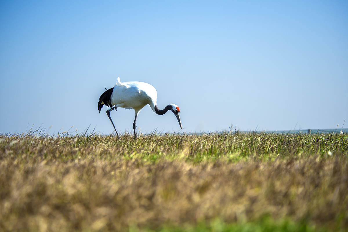 盐城媒体曝光平台及求助热线汇总：权威渠道，快速解决问题