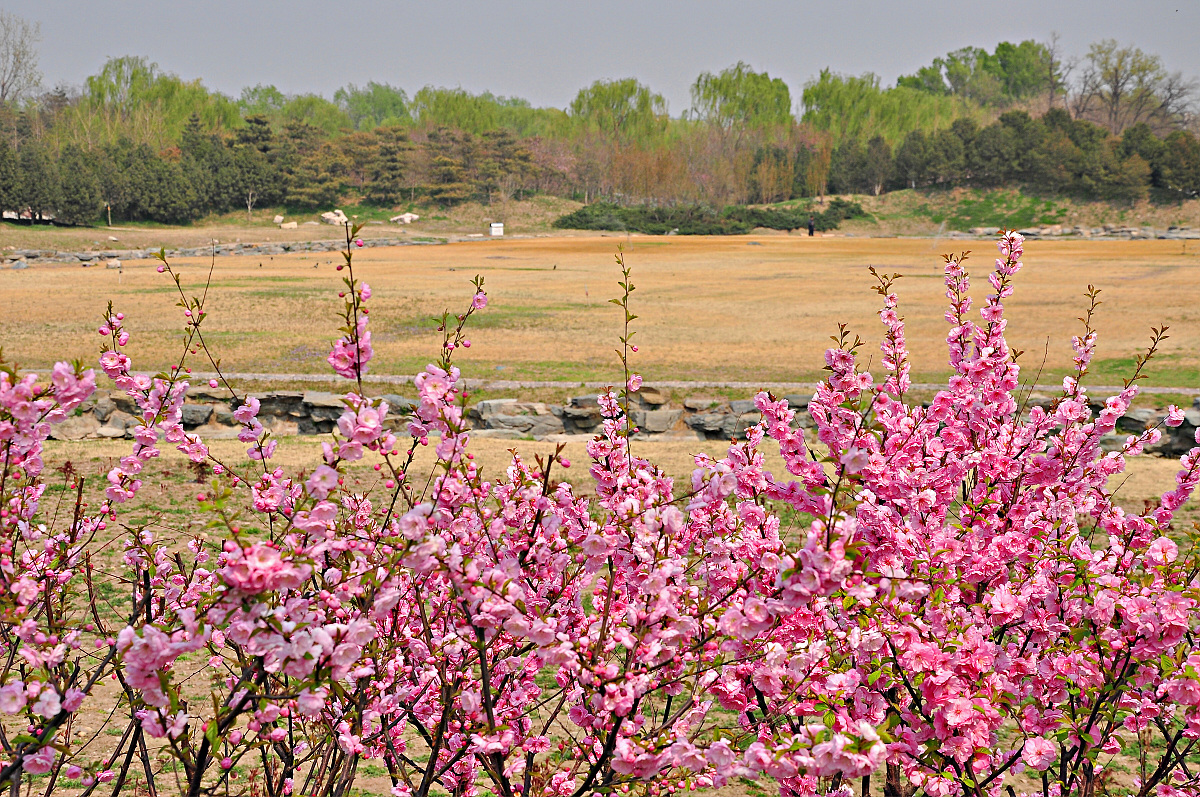 帮我写一首关于春天的诗句