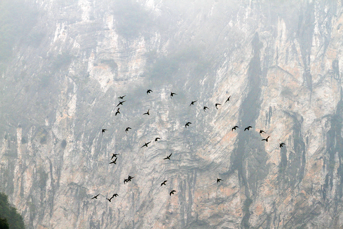 恩施土家族苗族自治州卫生学校医学检验技术专业怎么样