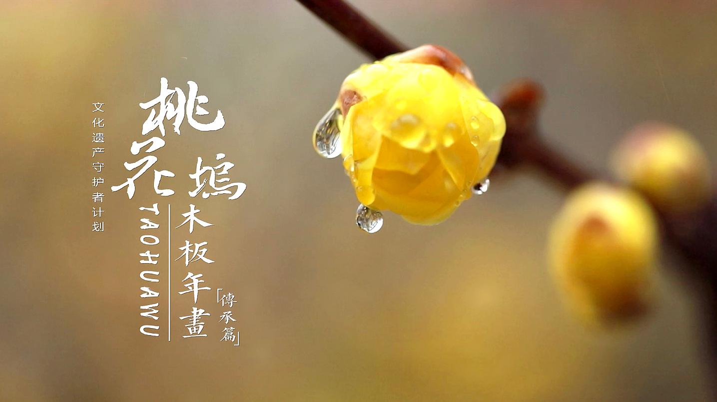 [图]桃花坞木板年画-传承篇