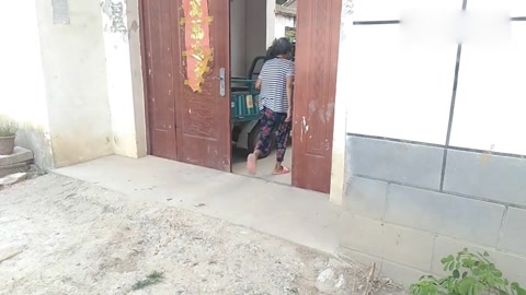 四叶菜你们吃过吗?农村妈妈这样一做,太香了
