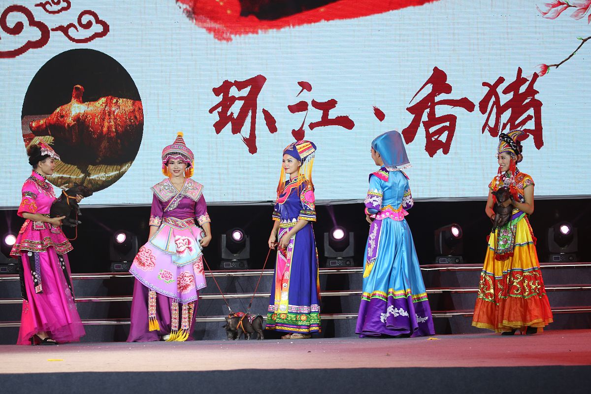 广西民族师范学院物流管理专业怎么样？就业前景好吗？