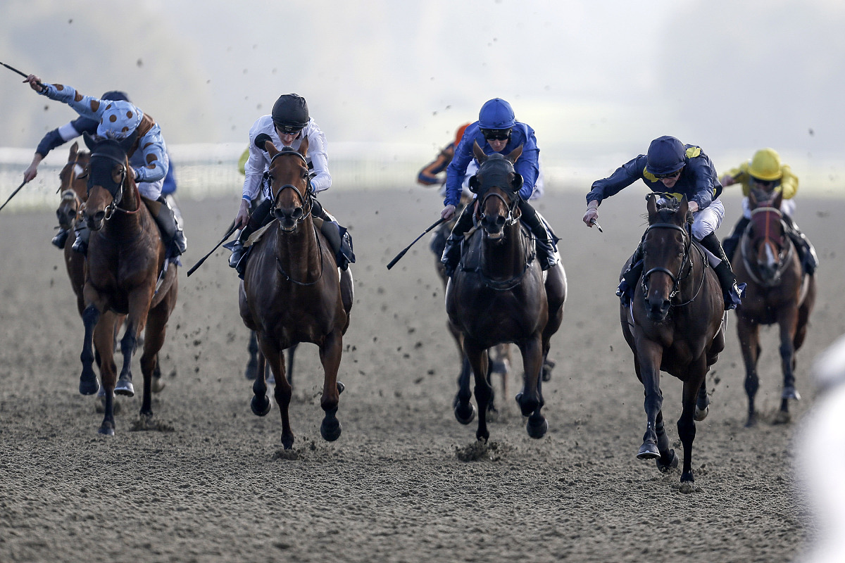 lingfield, england - november 02: james doyle riding muffri'ha (