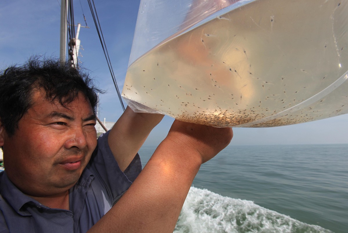 学校宿舍抽烟检讨：分析原因，提出解决措施