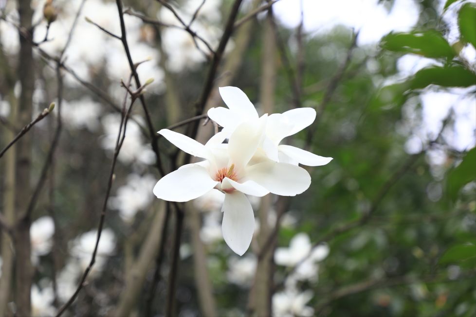 郴州东江湖