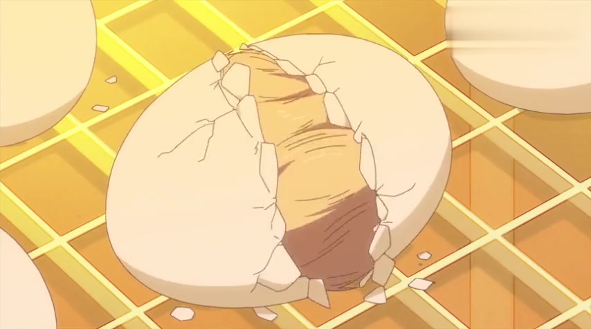 虎太郎看小鸡破壳而出的瞬间,自己全身都在帮小鸡使劲