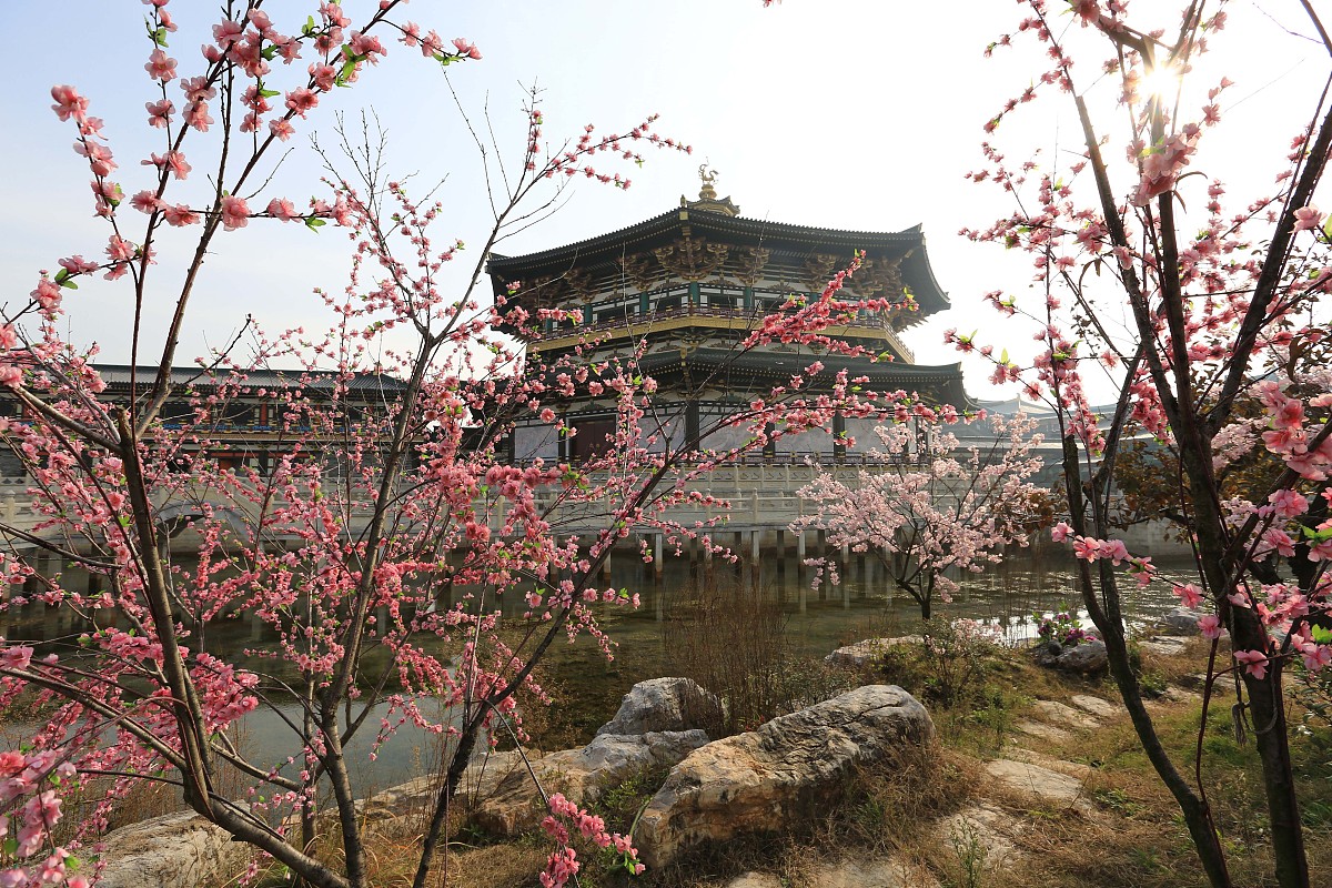 场景和布景如何影响电影情感？深入解读电影美学