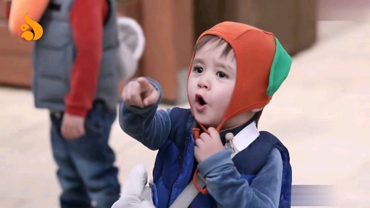 Sam带本特利和威廉去澳洲动物园,本特利指着考拉硬说是鳄鱼