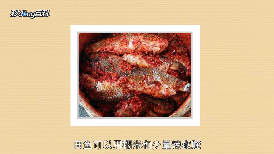 原来田鱼长这样