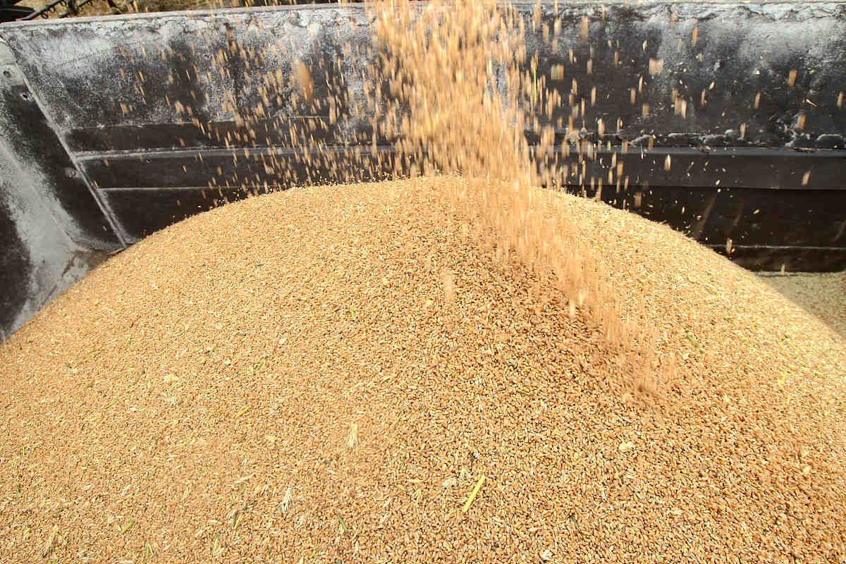 武汉农业学校2023年有哪些专业？