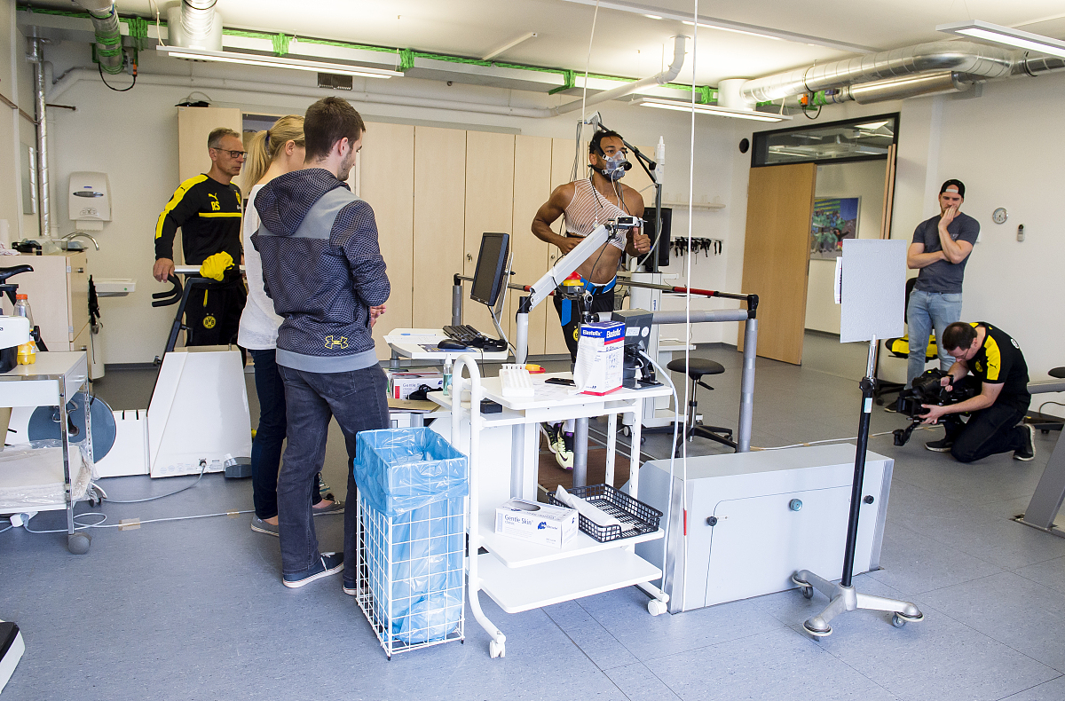 基于MediaPipe和机器学习的动作识别系统