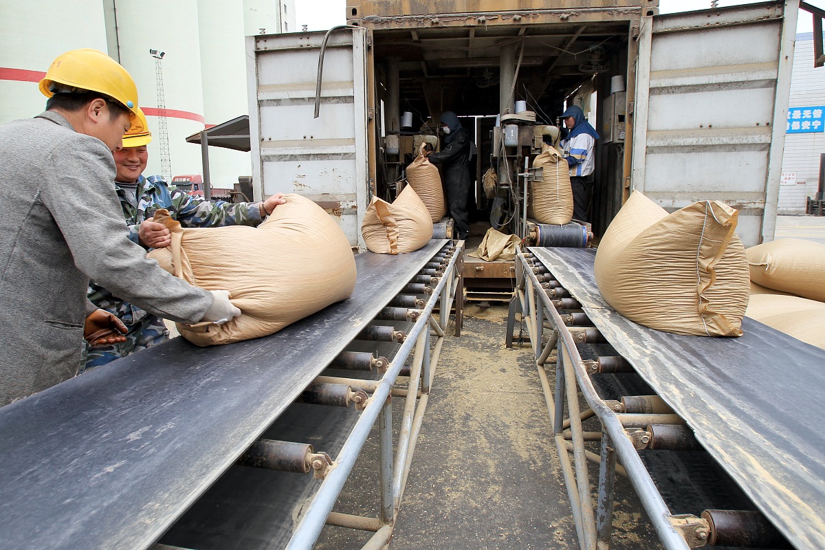船运大豆生产情况实地考察及收货人计划了解