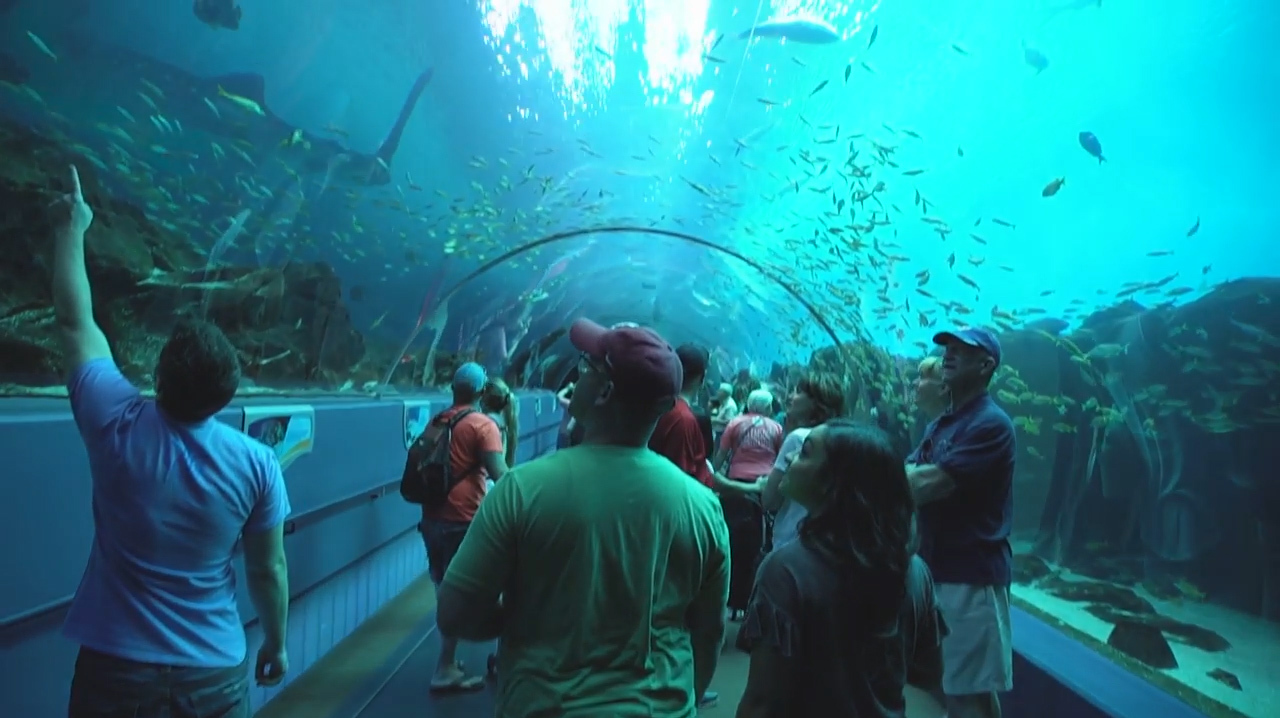 [图]全球最大的水族馆,安检比机场都严,世界上最大的鱼种也在里面!