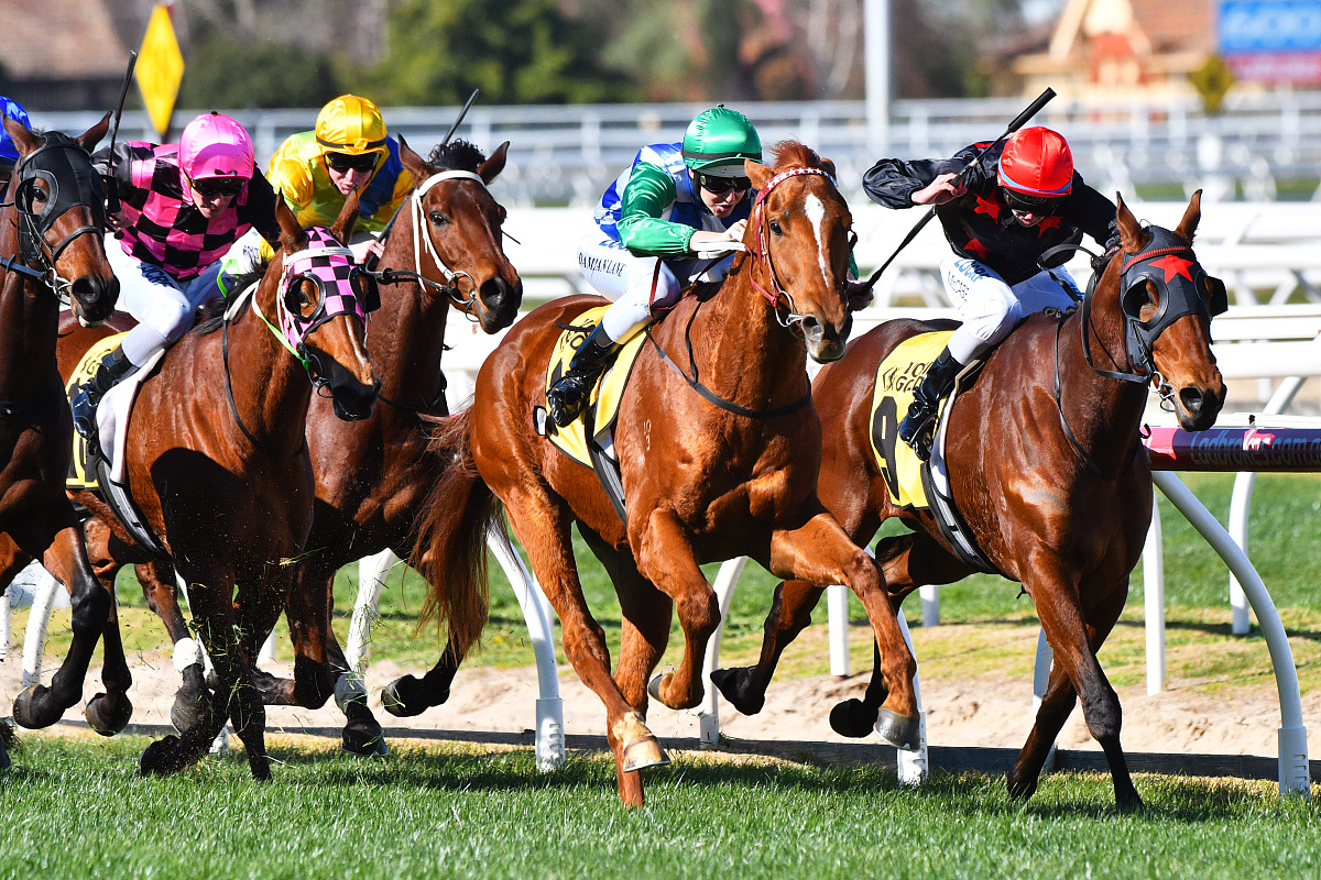 melbourne, <strong>a</strong>ustralia - july 29:  damian lane riding kiwia wins