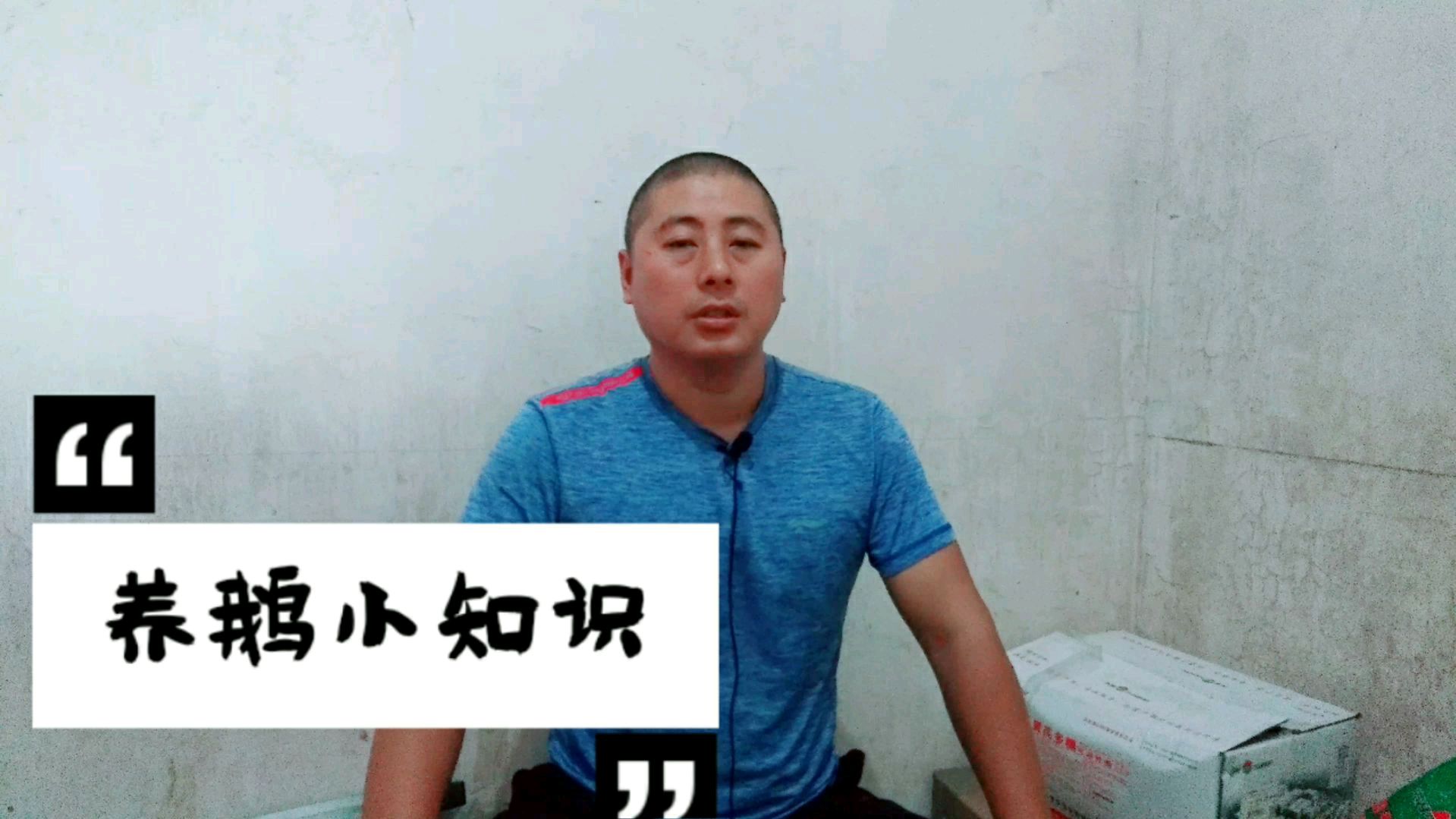 鹅突然卧地不起,出现伤亡,兽医到场解剖看看什么病