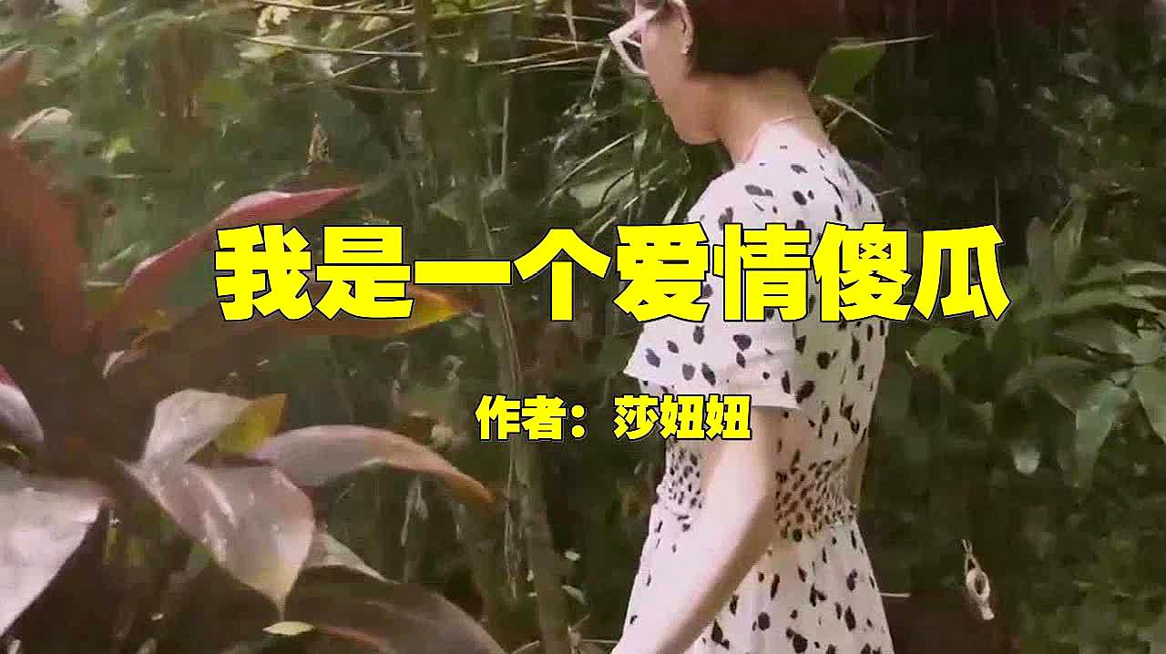 [图]莎妞妞的一首DJ版《我是一个爱情傻瓜》,洋洋盈耳,含情默默