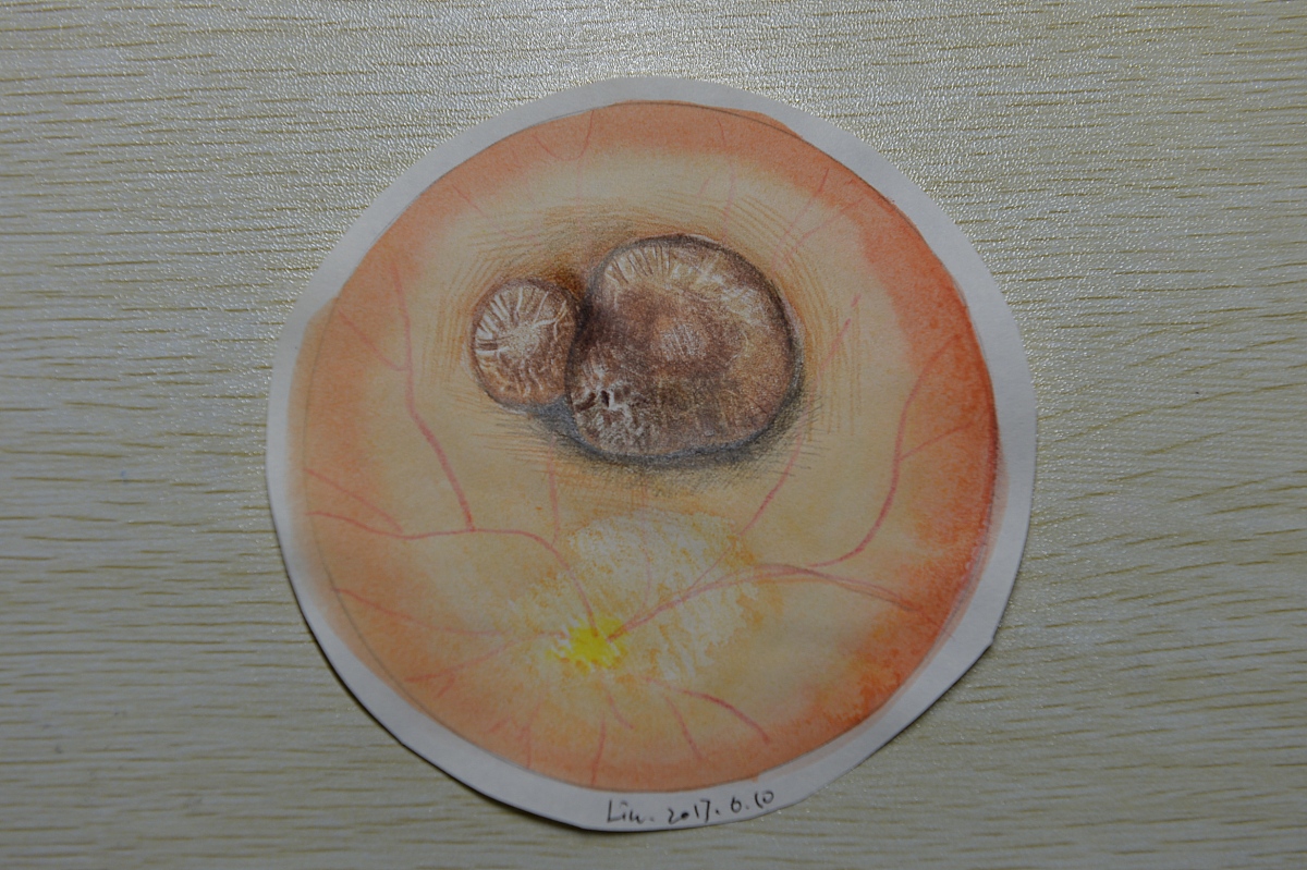 成都五年制大学专业设置：全面覆盖，面向未来