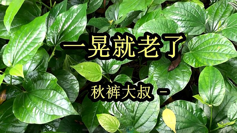 [图]秋裤大叔 一首《一晃就老了》DJ版,句句入心,越听越上瘾!