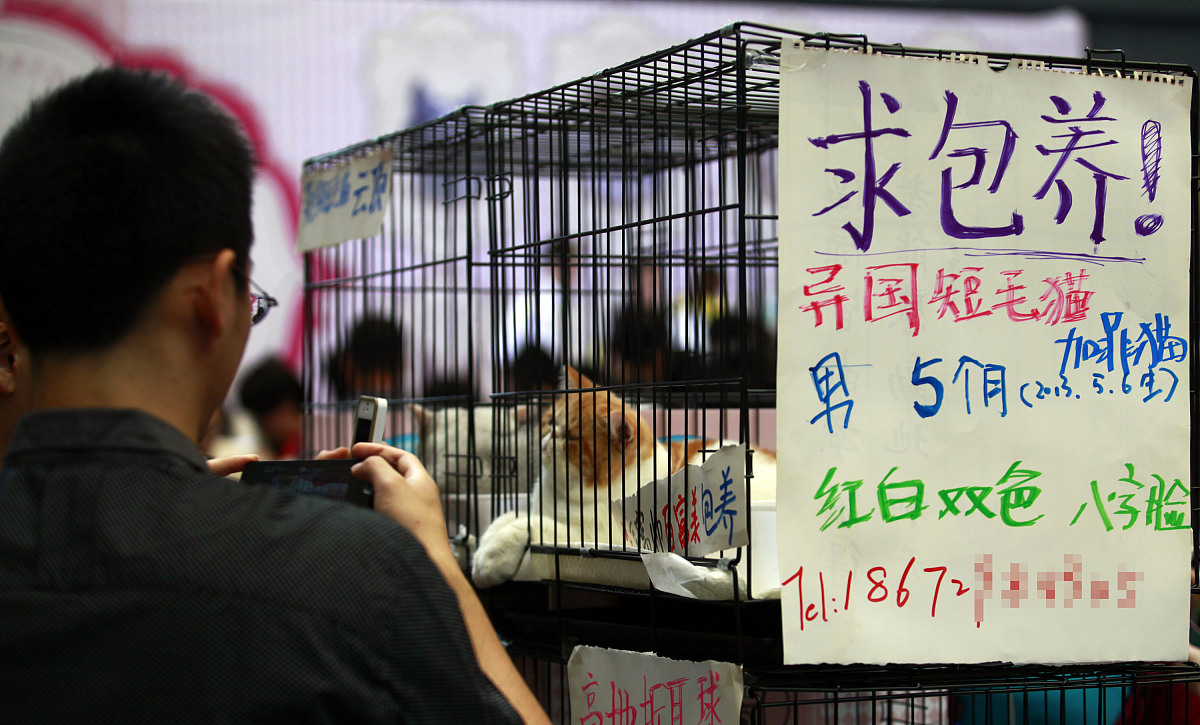 '机为什么会铁山靠'是什么意思？ - 疑问解答