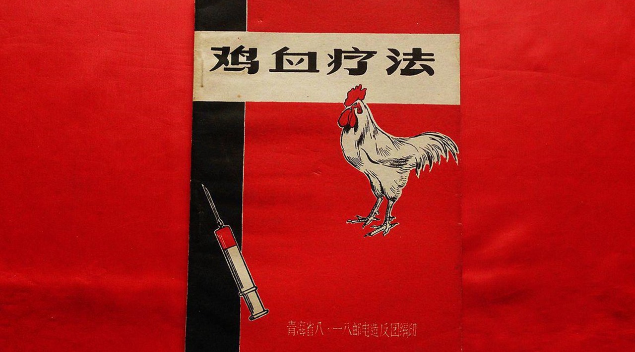 “打鸡血”真的能让人兴奋吗?这说法到底是怎么来的?