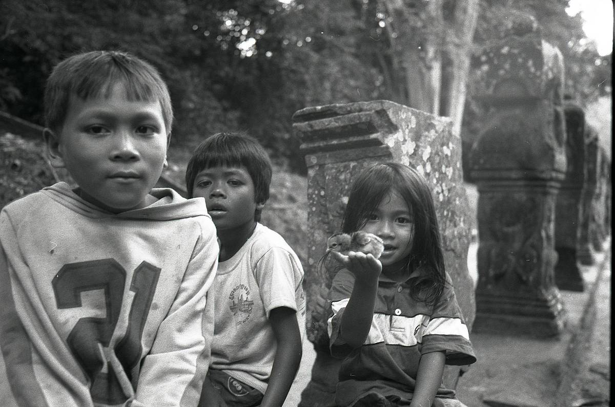 被遗弃角落的孤苦幼童：比喻他们如寒冬小鸟般等待温暖