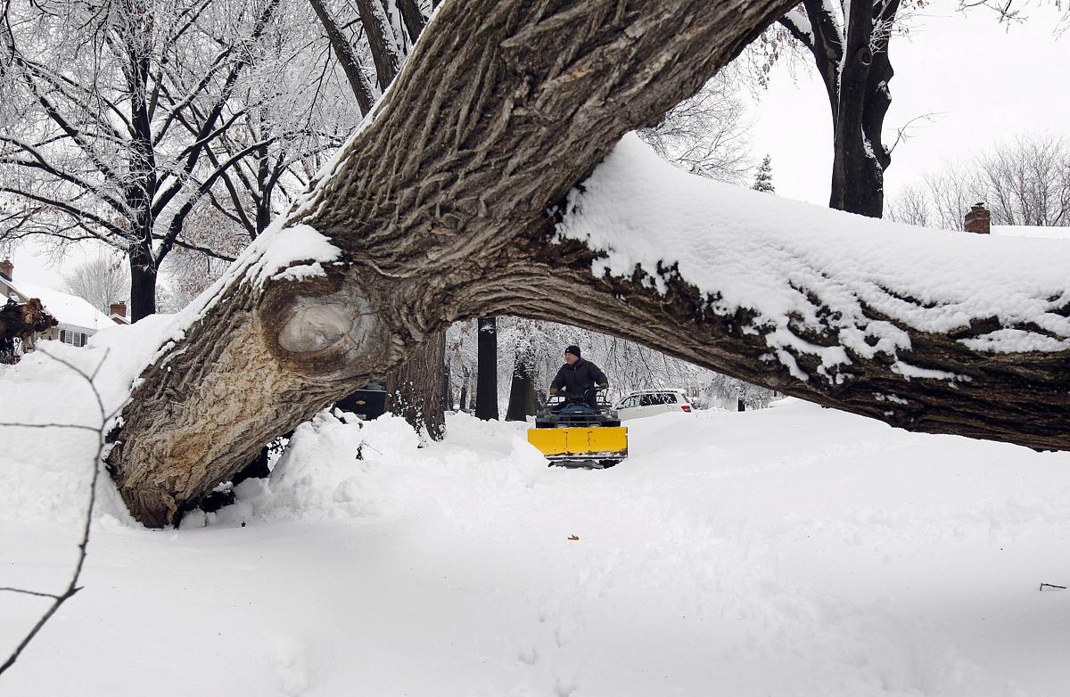 德克萨斯州明天天气预报 - 获取最新天气信息