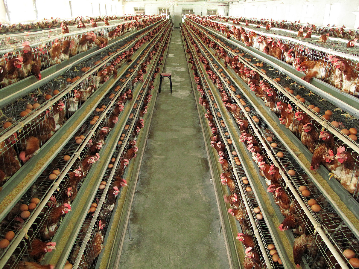 红河女生适合读什么中专专业？