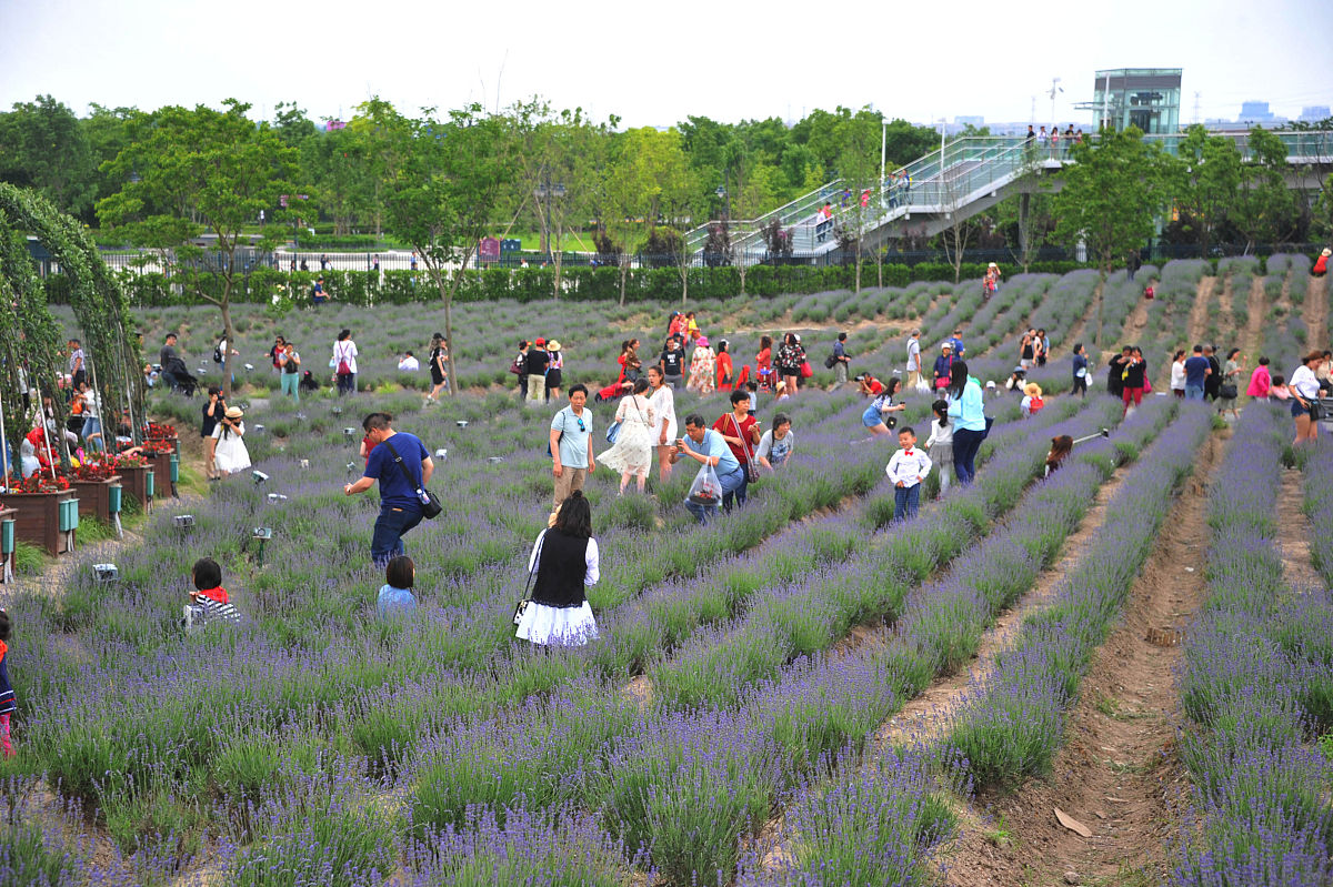 联想拯救者电脑开机出现质询界面