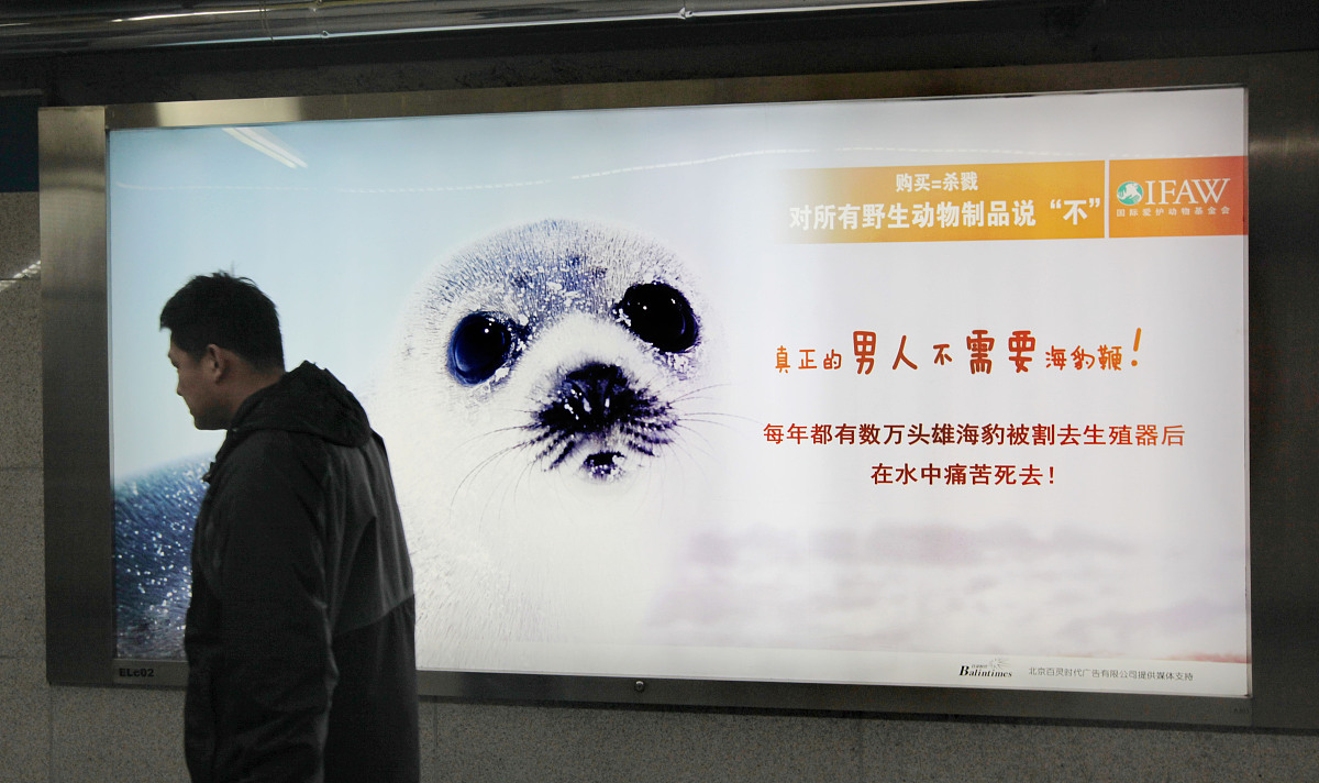 ***_***2011的12月2日,北京地铁乘客从ifaw 的" 购买=杀戮,对所有野生