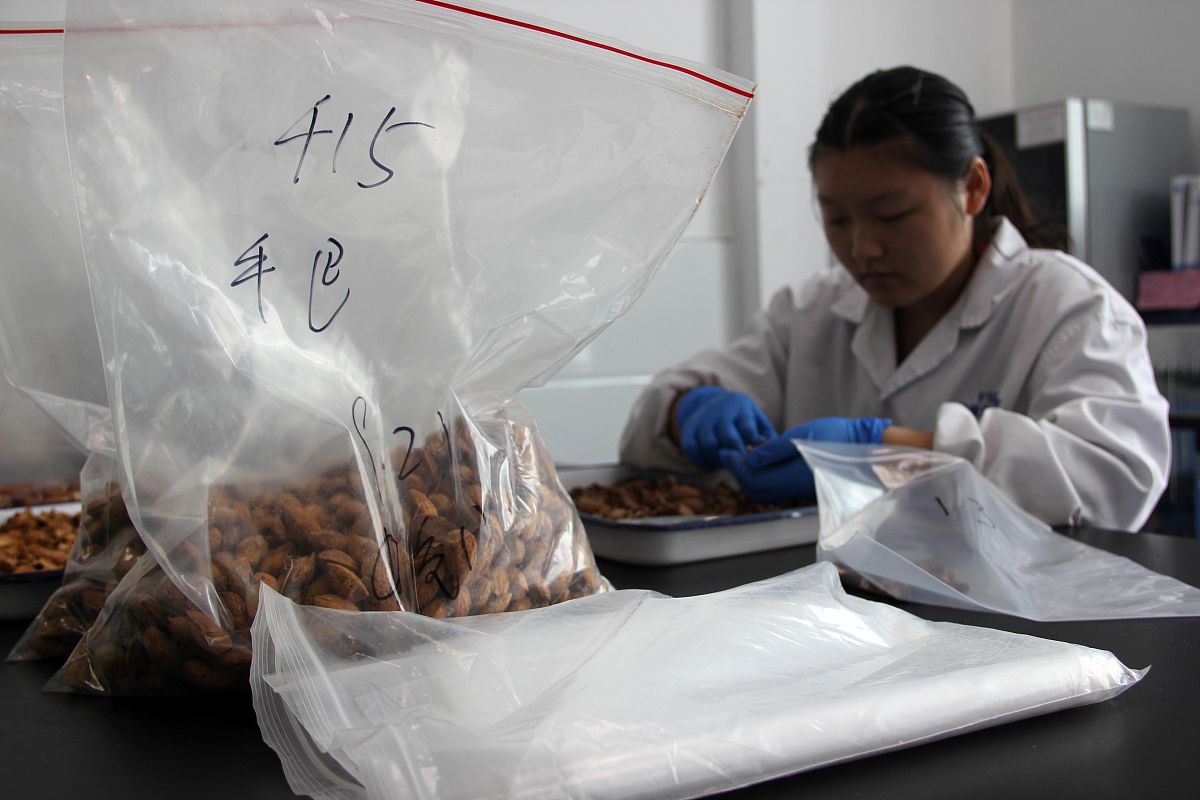 感官交互作用：嗅觉、光线、声音、温度、颜色如何影响味觉？