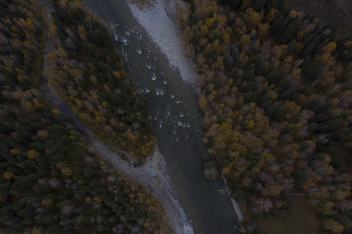 湍流形成的条件：流体力学解释