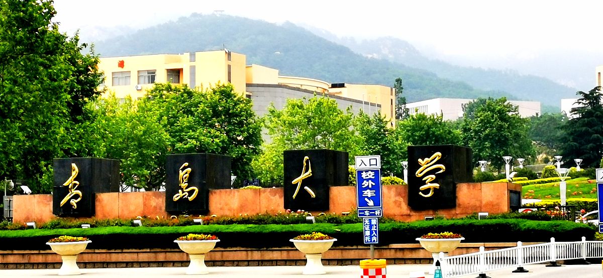 2019年6月,青岛大学.