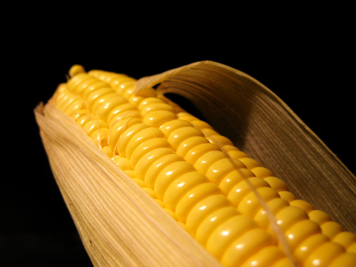 肃南县职教中心2023年有哪些专业