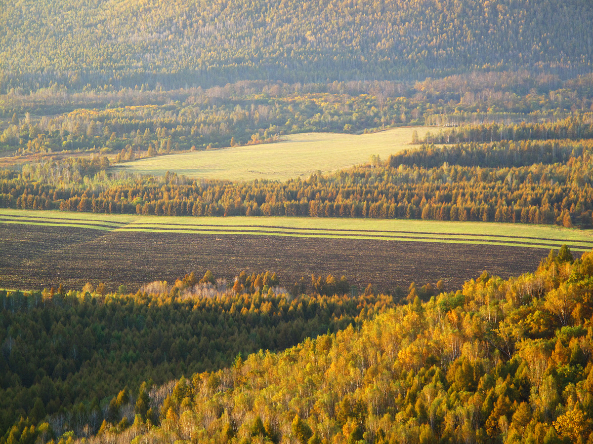 百川灌河秋水文言文全文翻译成白话文