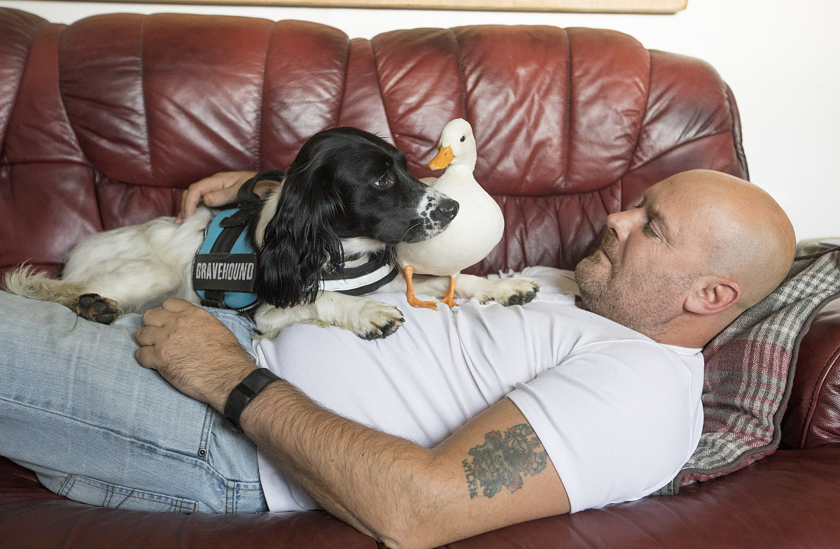 一千字关于中暑患者预后的论文