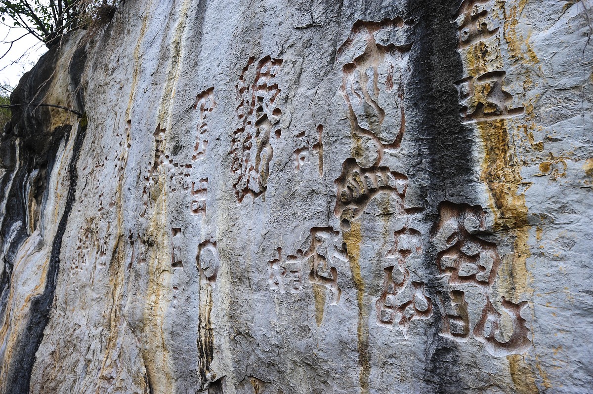异世界职业大全：奇幻冒险，等你探索！