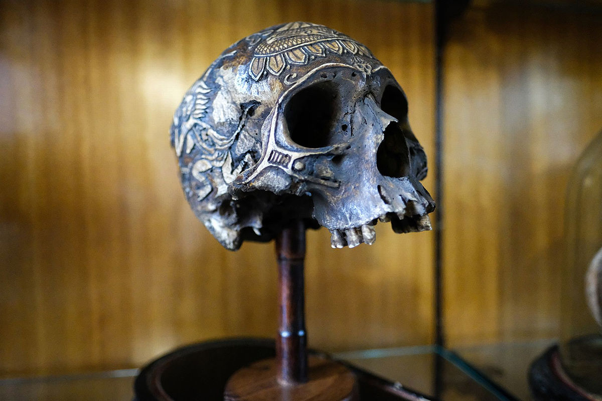 余姚技师学院2023年招生专业:专业选择指南 余姚技师学院2023年招生专业:专业选择指南