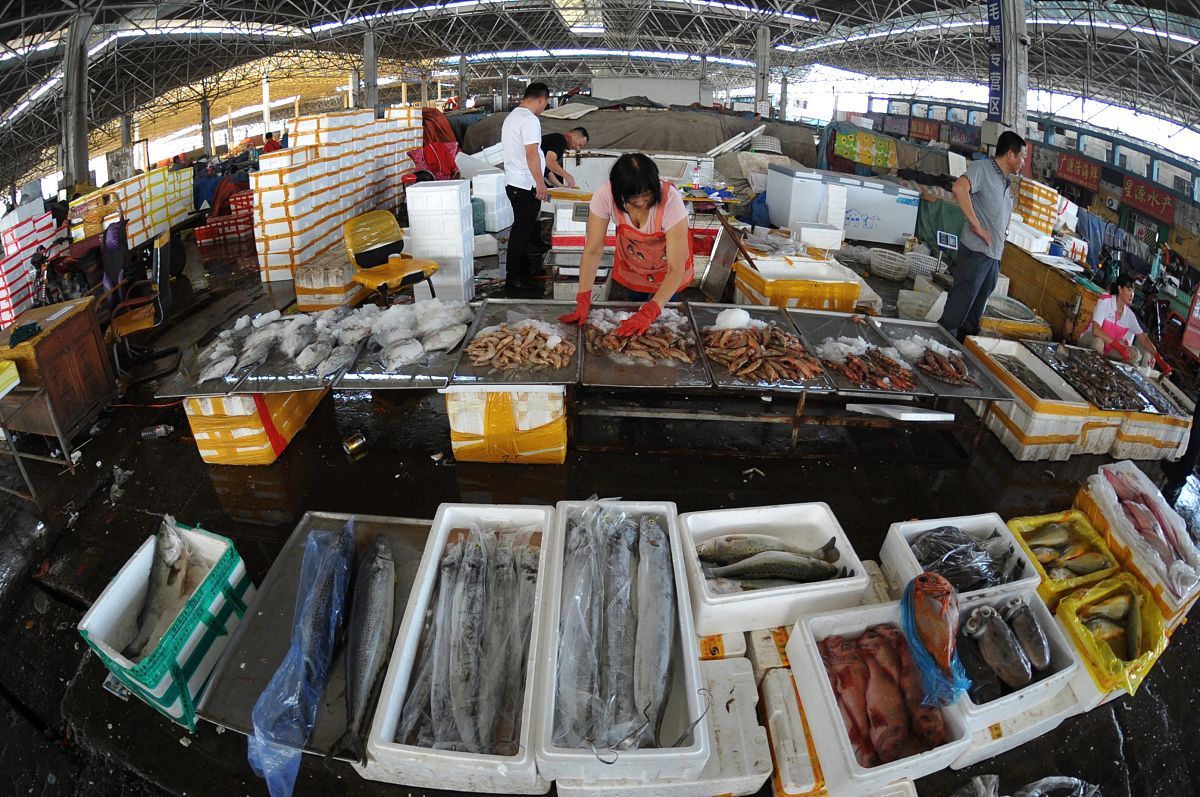 2019年9月10日,青岛市城阳区水产品批发市场,节日海鲜种类繁多供应充