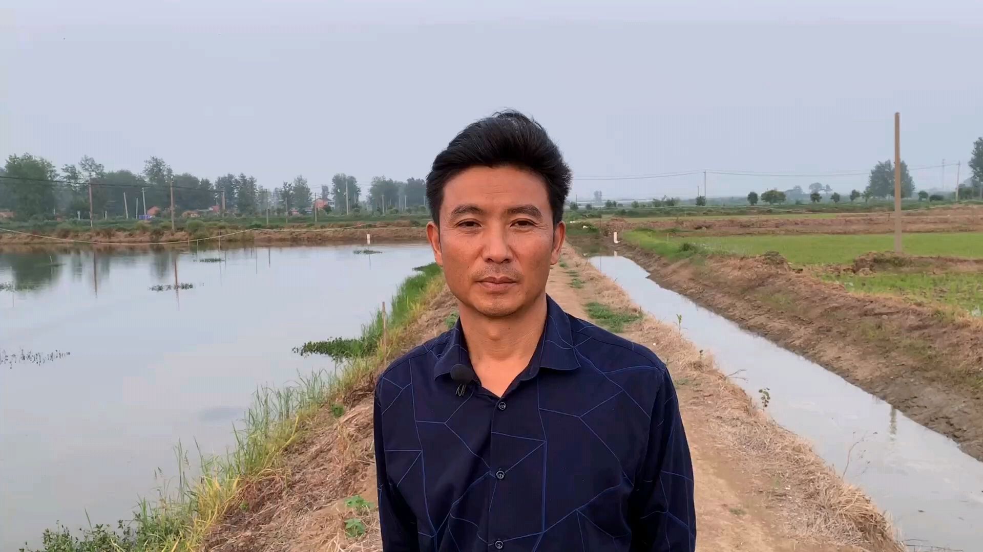 龙虾养殖塘口饲料到底应该如何投?陈老师教你如何正确投饵。