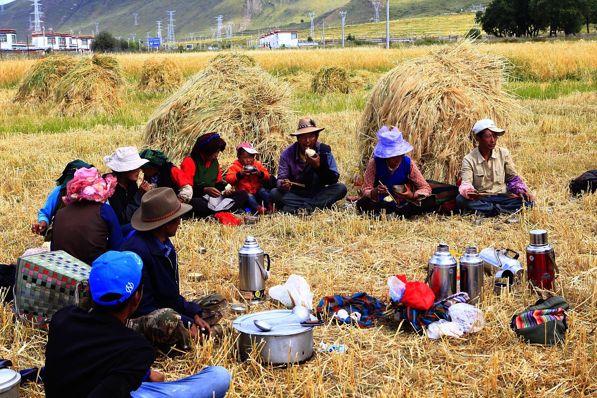 国家粮食青海青稞和牛羊肉交易中心：竞争威胁分析及未来展望