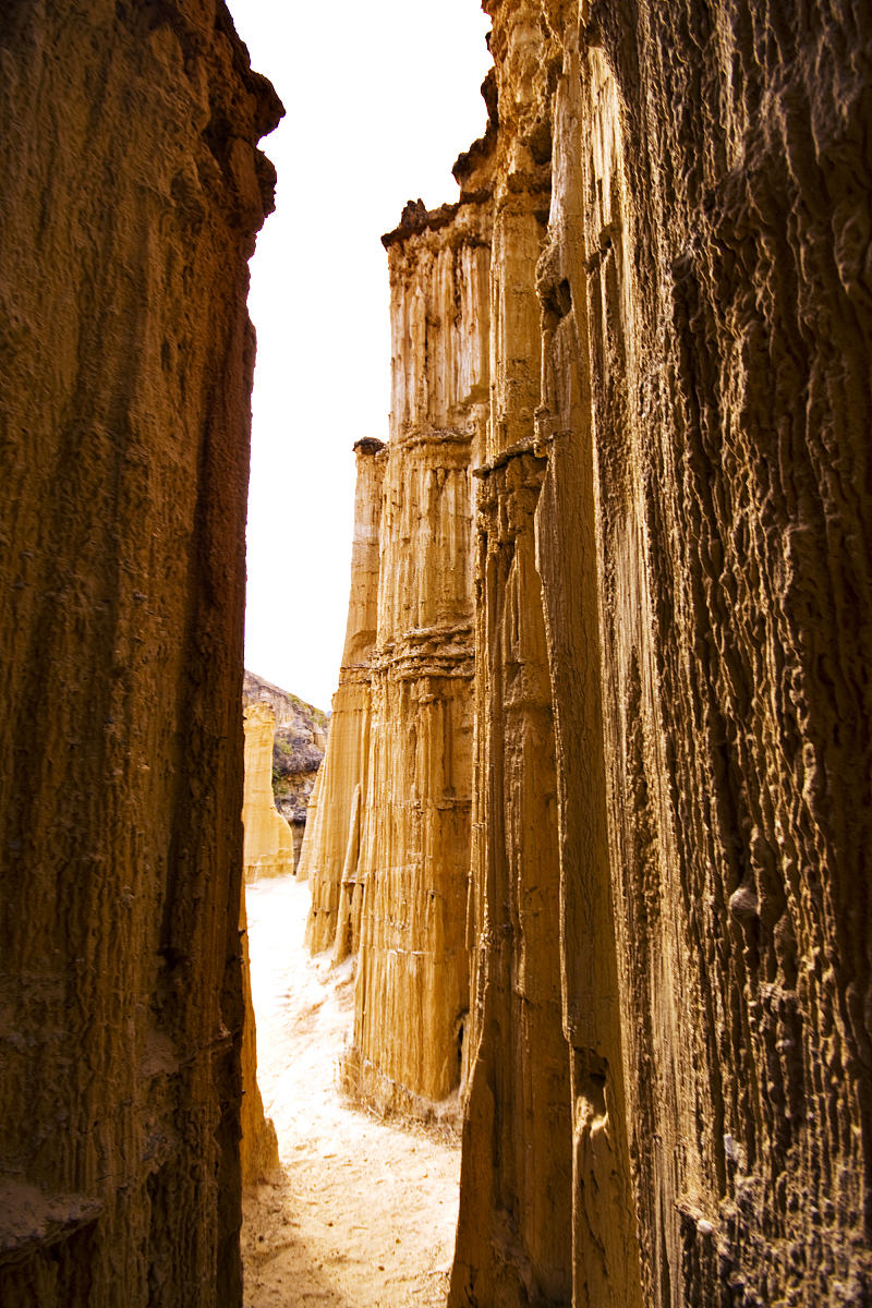 楚雄中专学校什么专业好就业