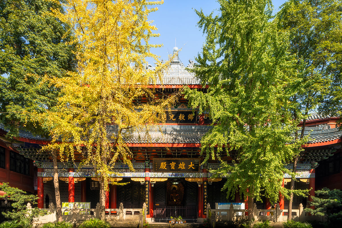 2019年11月14日,四川省成都市文殊院秋季金黄色银杏树下的寺庙古建筑.
