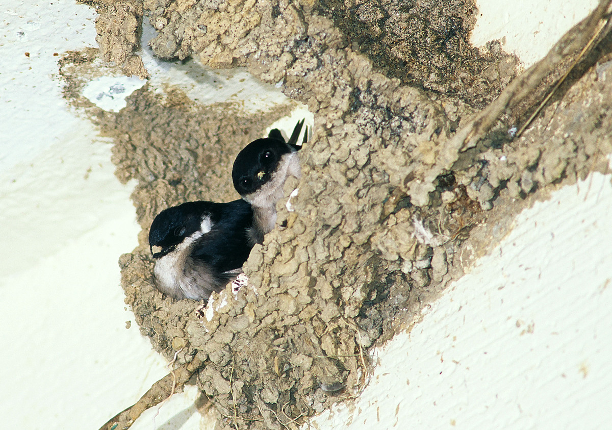 以 户外旅行中的安全问题与应对措施为题写一篇1200字文章
