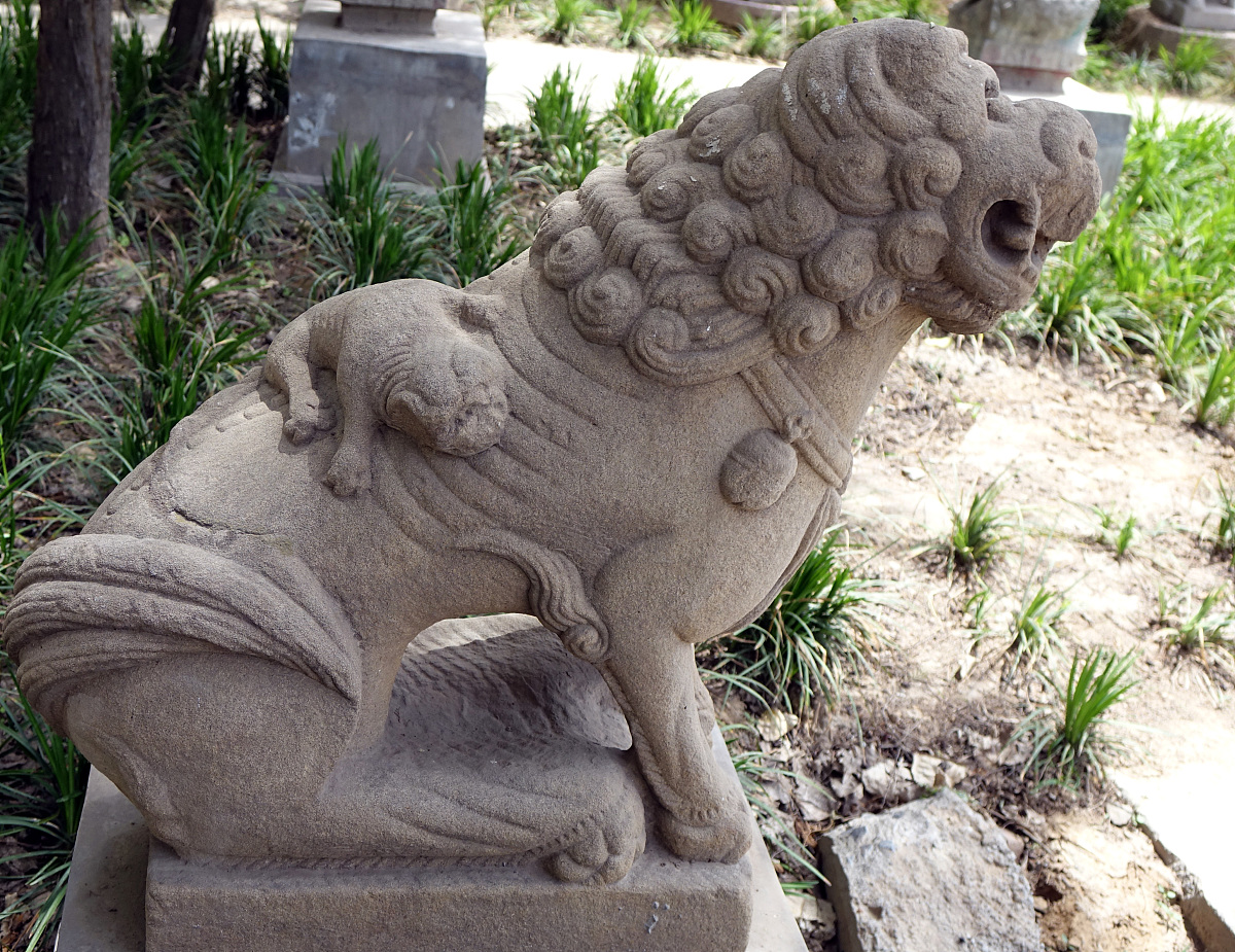 泰顺县石雕艺术学校2023年招生条件及专业人数-好不好